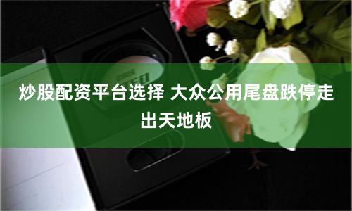 炒股配资平台选择 大众公用尾盘跌停走出天地板