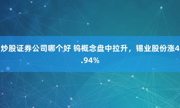 炒股证券公司哪个好 钨概念盘中拉升，锡业股份涨4.94%