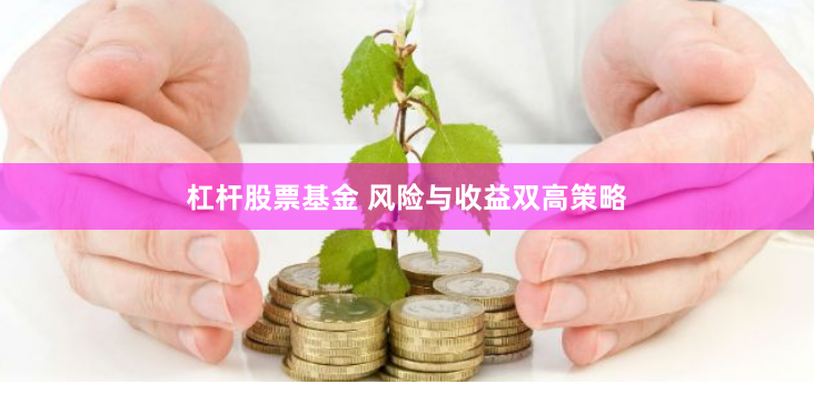 杠杆股票基金 风险与收益双高策略